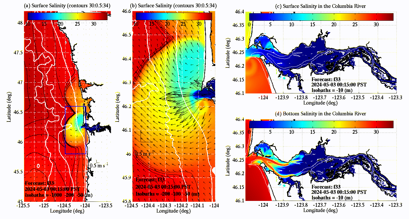 The salinity forecast animation above is for the current day and divided into four areas. The left side is a a wide scale map of surface salinity. The image next to it is focused on the area around the plume. The top right shows the surface salinity and the lower right shows the bottom salinity in the Columbia River. This animation is derived from the current reference forecast and is updated daily.